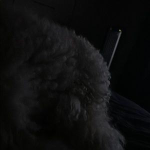 Meet your Posher, Romin